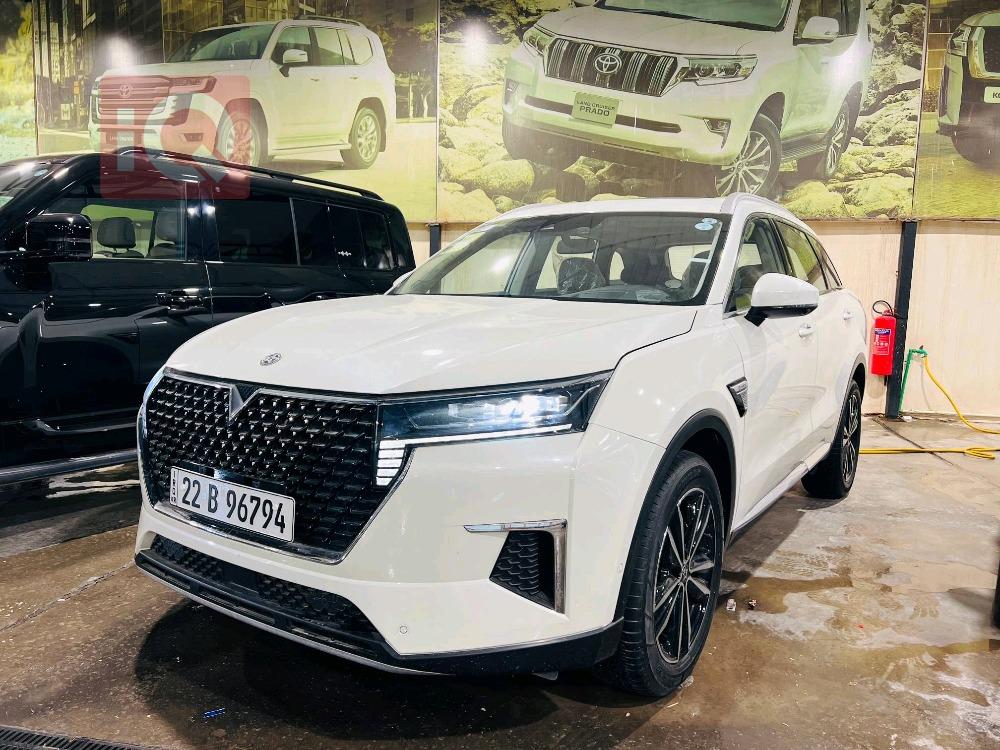 دونج فينج فينوسيا